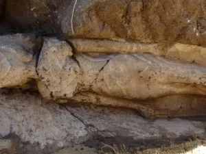 Pharaoh Amenhotep III