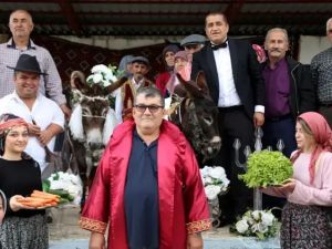 زواج حمارين في تركيا