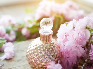 perfume market