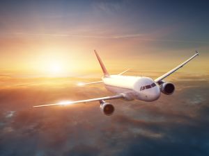 Shutterstock flight