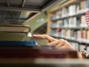 Shutterstock UAE universities