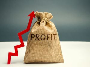 Difference Between Profit and Revenue