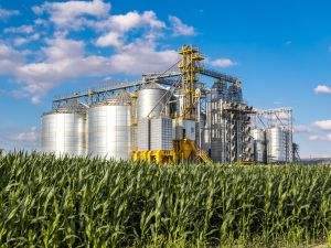 agrifood 