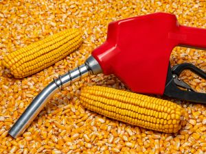 bioethanol