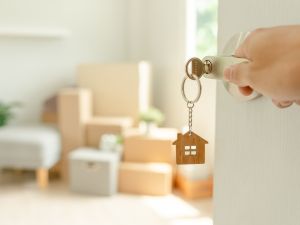 real estate 