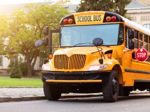 Shutterstock School bus