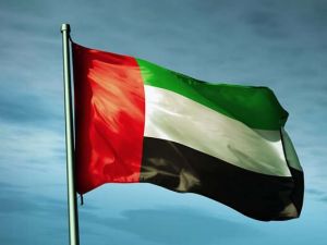 علم دولة الإمارات العربية المتحدة 