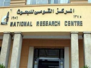 رد سريع من البحوث الفلكية المصرية.
