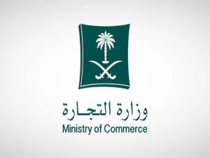 عقوبات أي شخص أخل بواجبه في إيداع القوائم المالية