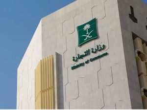 15 ألف زيارة رقابية على منشآت المشاعر المقدسة