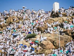 حجاج بيت الله الحرام عند جبل عرفات 