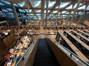 مكتبة الإسكندرية 