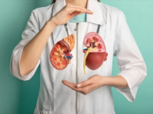 shuterstock Kidney Transplant