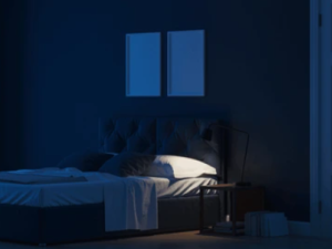 Night 