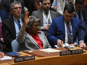 UN Security Council