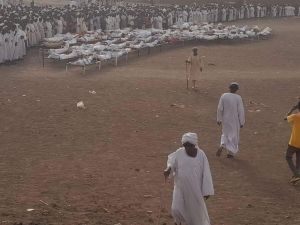 Rapid Support Forces massacre in Wad Al Nour village of Al-Jazeera state, Sudan on June 6, 2024