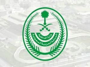 . تنفيذ حكم القصاص في أحد جناة المدينة المنورة