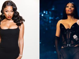 Megan Thee Stallion Nicki Minaj