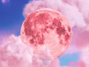 قمر الفراولة