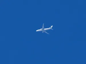  الطائرتان كان على متنهما 300 راكب وهما من طراز A320 