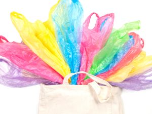 Shutterstock groceries