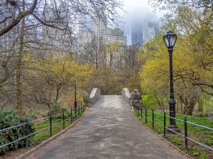 Shutterstock park