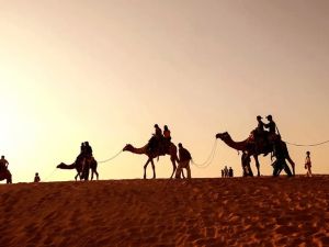 البسامي وش يرجع.. من وين عائلة البسام؟