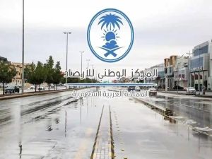 شبورة وموجة حارة!! تحذيرات عاجلة من الأرصاد السعودية
