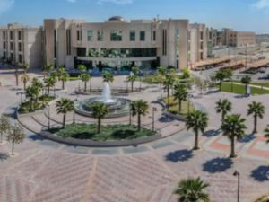 رسوم جامعة الأمير مقرن ونسبة القبول والتخصصات المتاحة