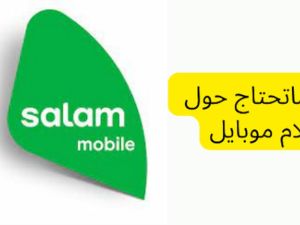 شريحة سلام سولو