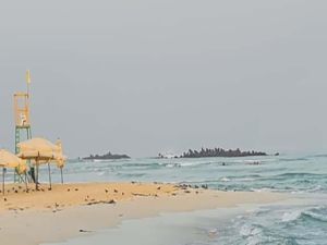 شواطئ اسكندرية