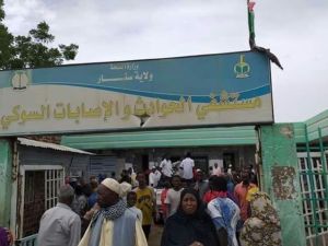 مستشفى السوكي - السودان 