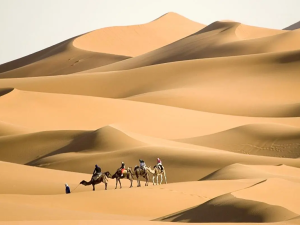 من هو عبد العزيز الدغيثر.. الدغيثر وش يرجعون