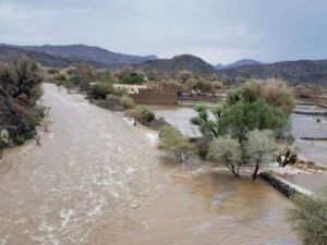 اليمن - سيول - وفيات