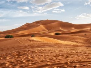 الجزائر - وفاة - الصحراء