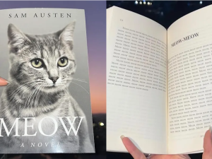 رواية Meow: A Novel رواية Meow: A Novel