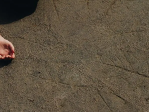 تعبيرية  تعبيرية