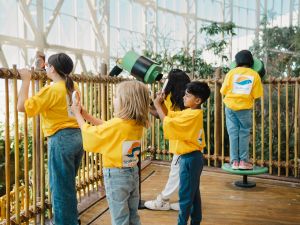  SeaWorld® Yas Island, Abu Dhabi launches educational four-day summer camp