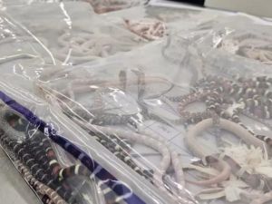 China Customs / circulating on social media China