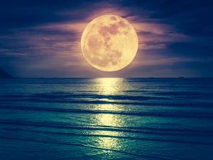Shutterstock moon