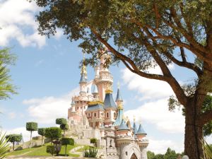 Shutterstock Disneyland