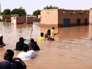 السودان - سيول