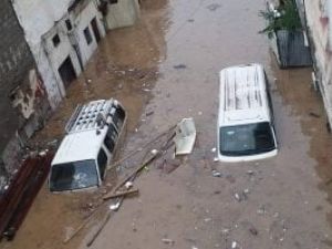 اليمن - سيول - الصحة العالمية
