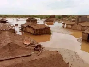 السودان - سيول - قتلى