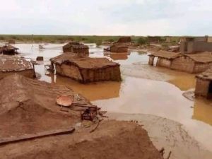 السودان - سيول - قتلى