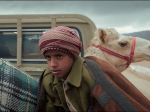 فيلم هجان
