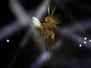 Golden Voyager at Olympics closing ceremony reignites 'satanic' speculation