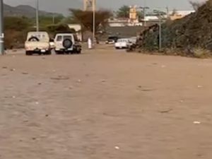 سيل في السعودية