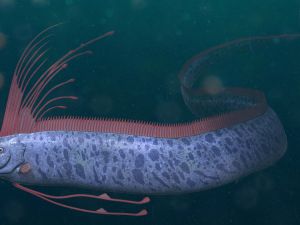 Doomsday fish