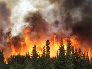 wildfires